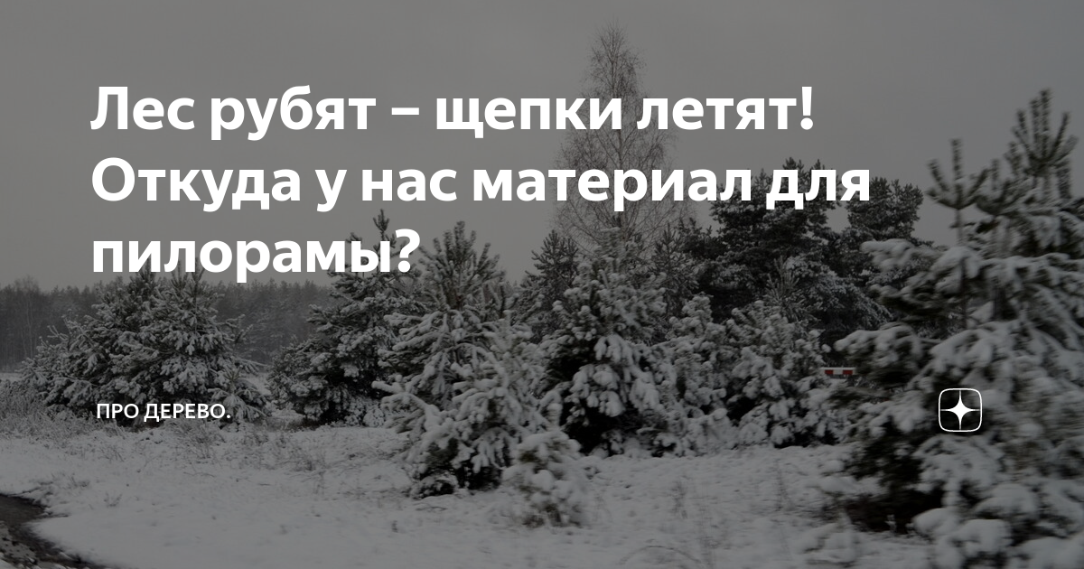 Поговорка лес рубят. Лес рубят щепки летят. Лес рубят щепки летят значение. Лесрубят щепки летяь. О чем поговорка лес рубят щепки летят.