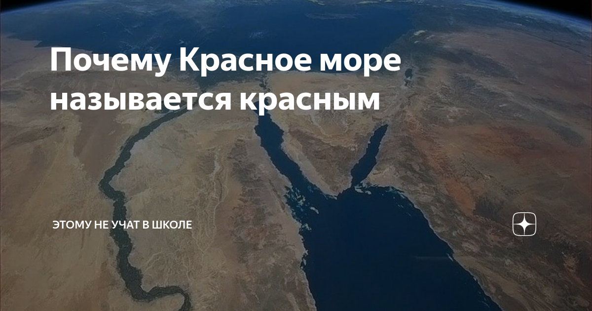 Почему Красное море называется красным Этому не учат в школе Дзен