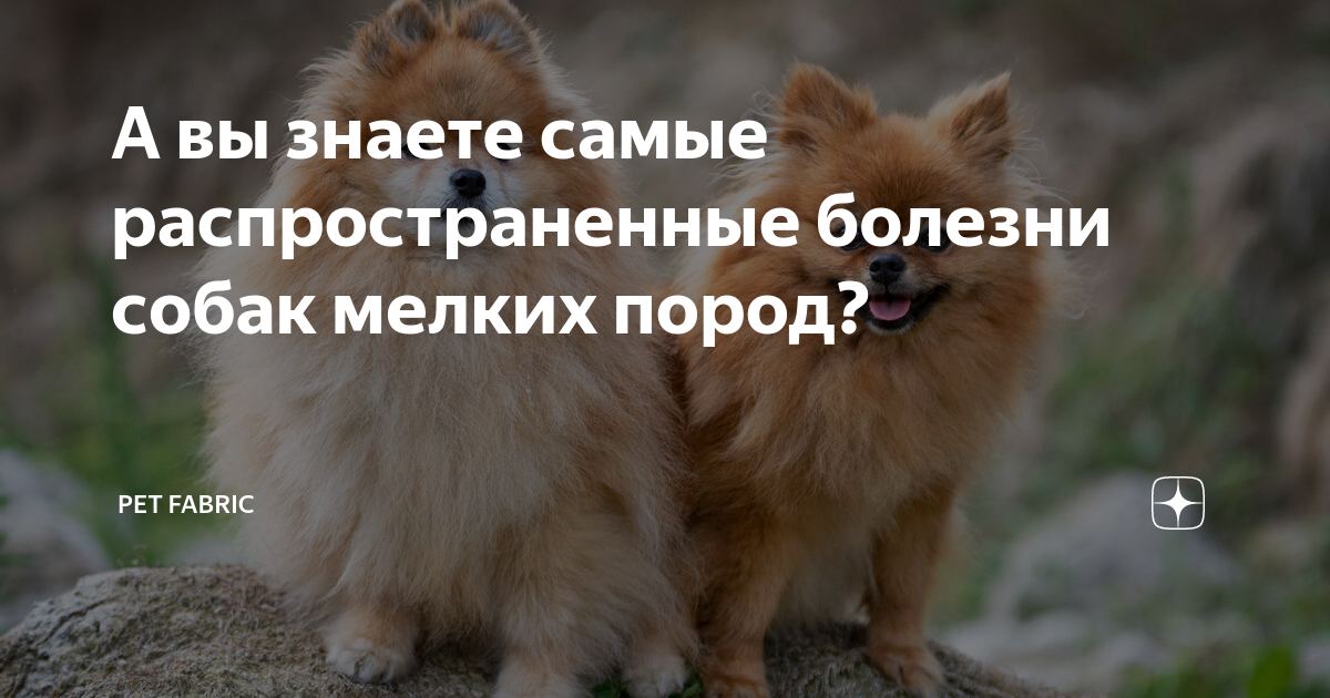 Желудочно-кишечные расстройства