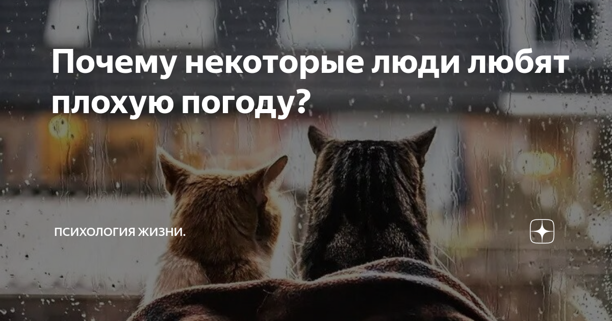 Почему некоторые люди любят плохую погоду? | Психология жизни. | Дзен
