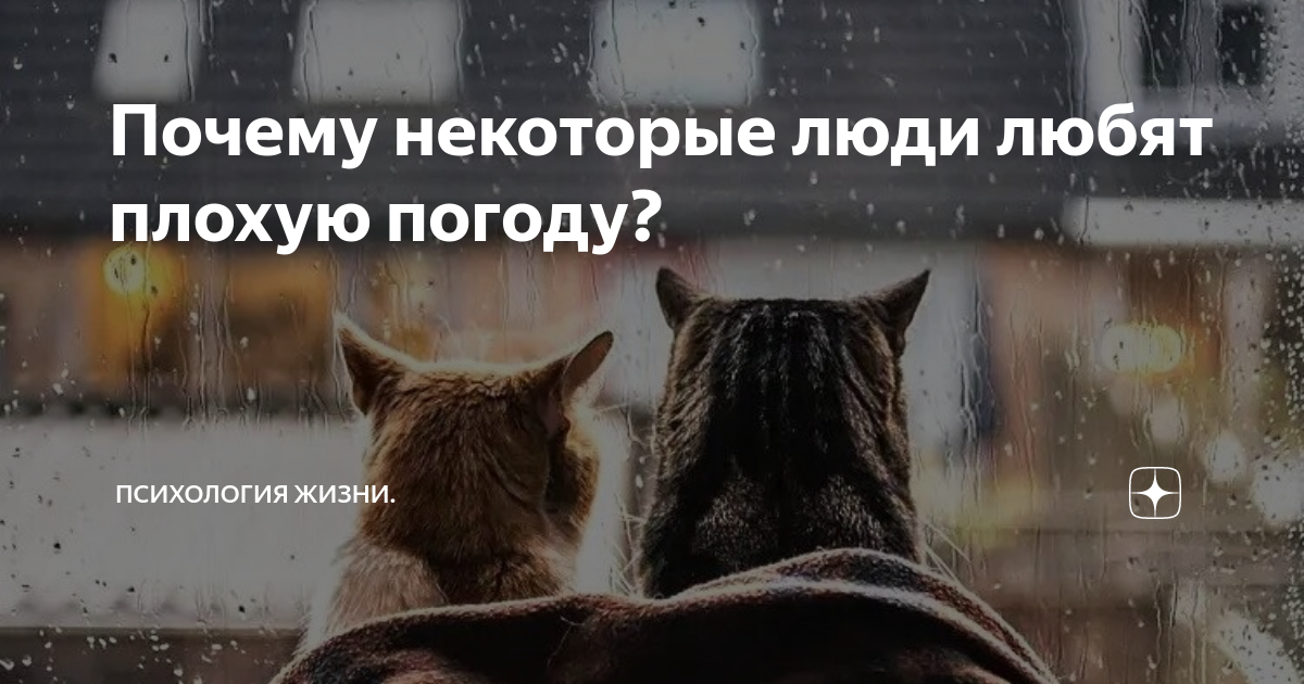 Чем заняться, когда на улице дождь?