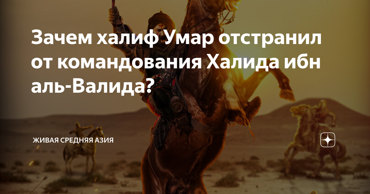 радуется солнцу. валида солнца людям. солнце в руках. валида солнца людям. имам хусейн кербела.