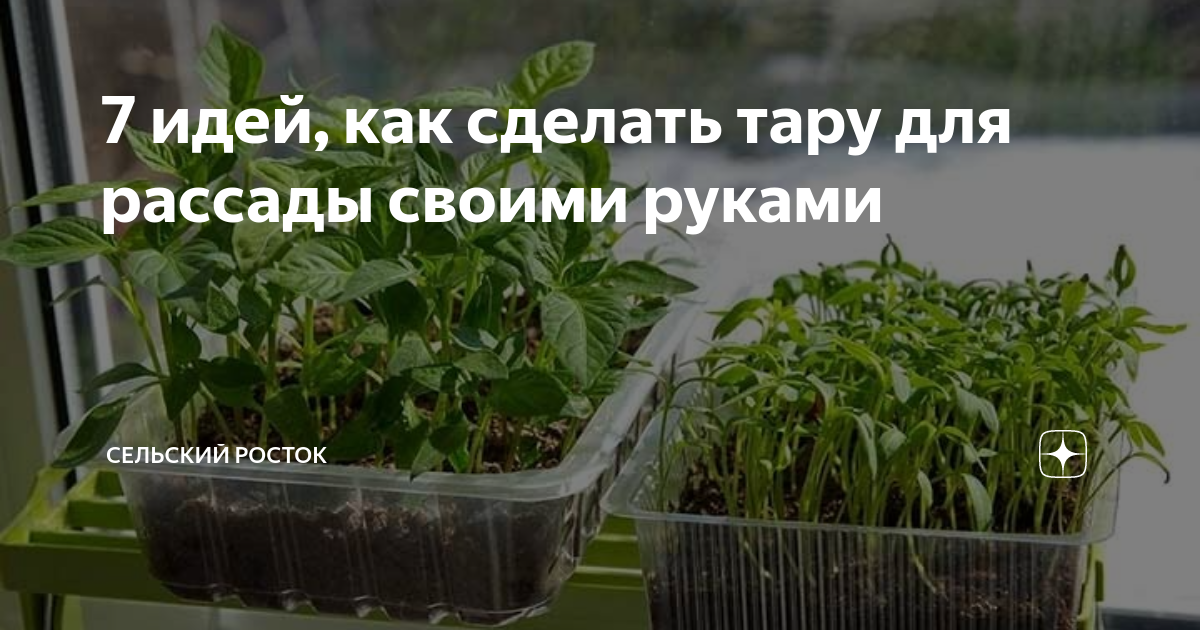 Микрозелень для рассады кубики и коврики