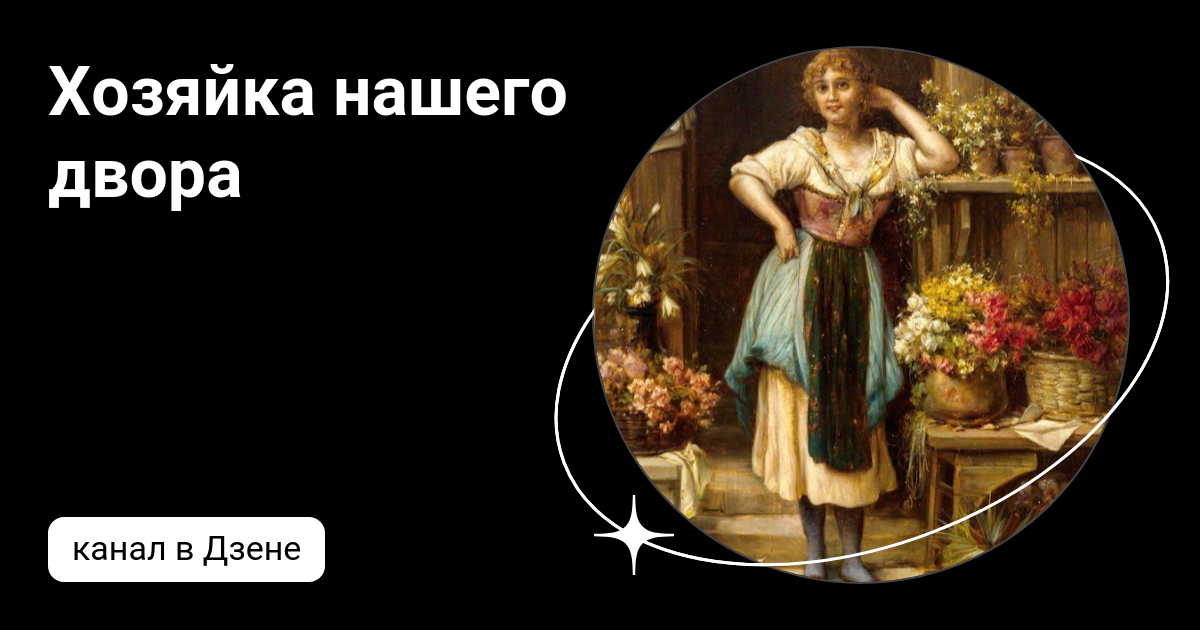 Хозяйка нашего двора | Дзен