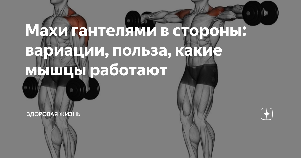Техника выполнения махов гантелями
