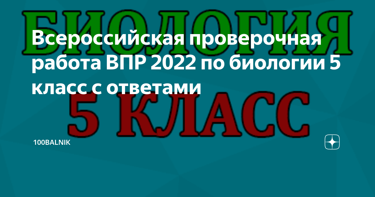 Впр 7 класс биология 2024 100 бальник