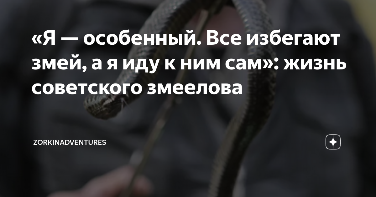 змея семейства ужей сканворд