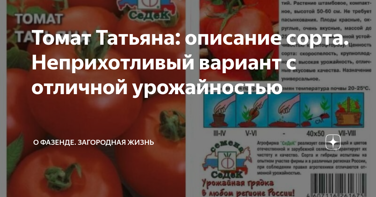 Семена томата Татьяна - купить в интернет-магазине по низкой цене на Яндекс Марк