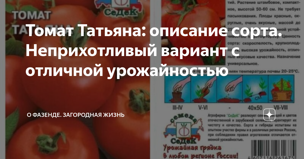 Томат Татьяна Низ. (Седек) 0.1г. 10 шт. - купить в интернет-магазине по низкой ц