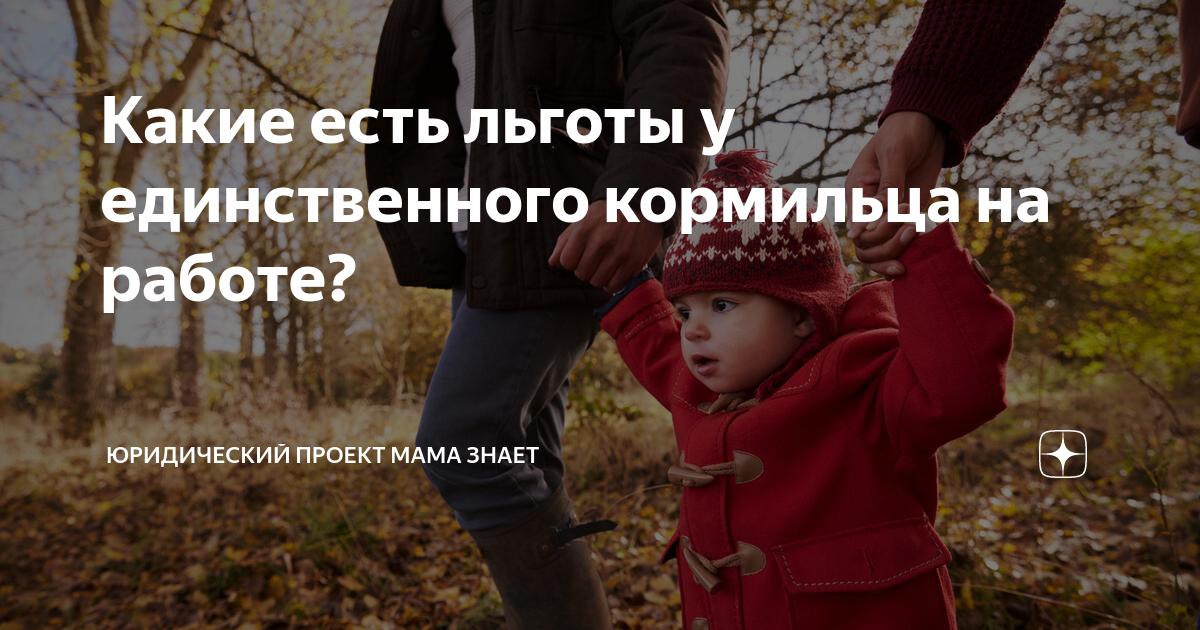 Какие есть льготы у единственного кормильца на работе? | Юридический ...