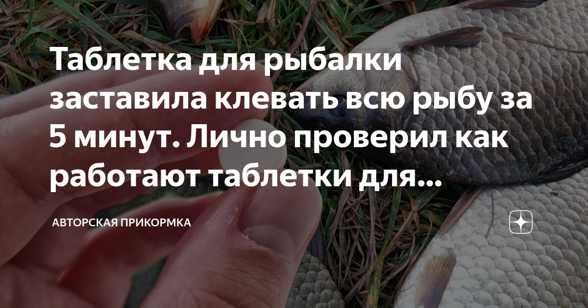 Таблетка для рыбалки заставила клевать всю рыбу за 5 минут. Лично проверилкак работают таблетки для рыбалки \