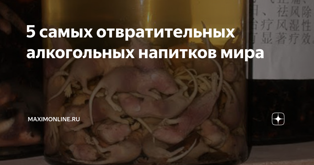5 самых отвратительных алкогольных напитков мира | MAXIMonline.ru | Дзен
