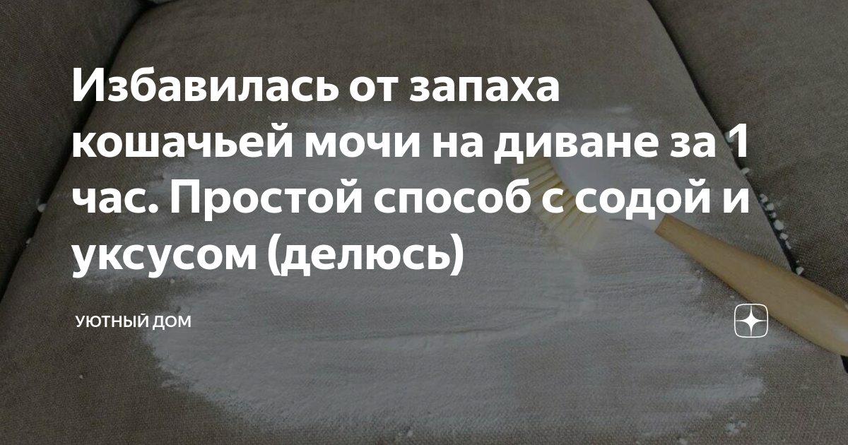 Как избавиться от запаха мочи кота
