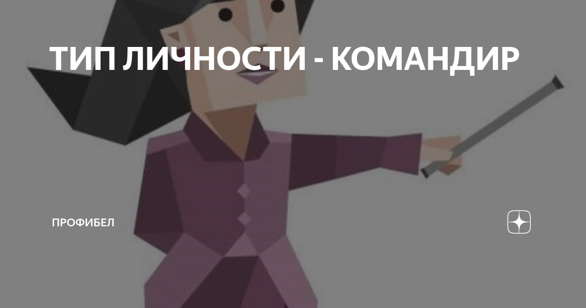 Тип личности командир примеры Evy from darkside Manga & Anime FR Amino