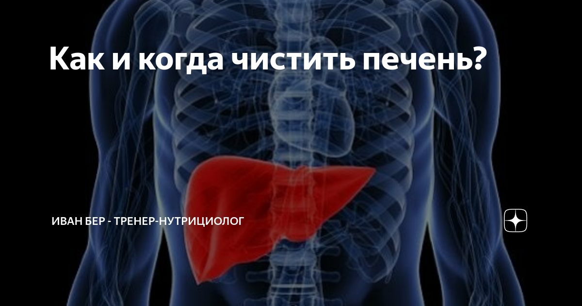 почистить печень маслом