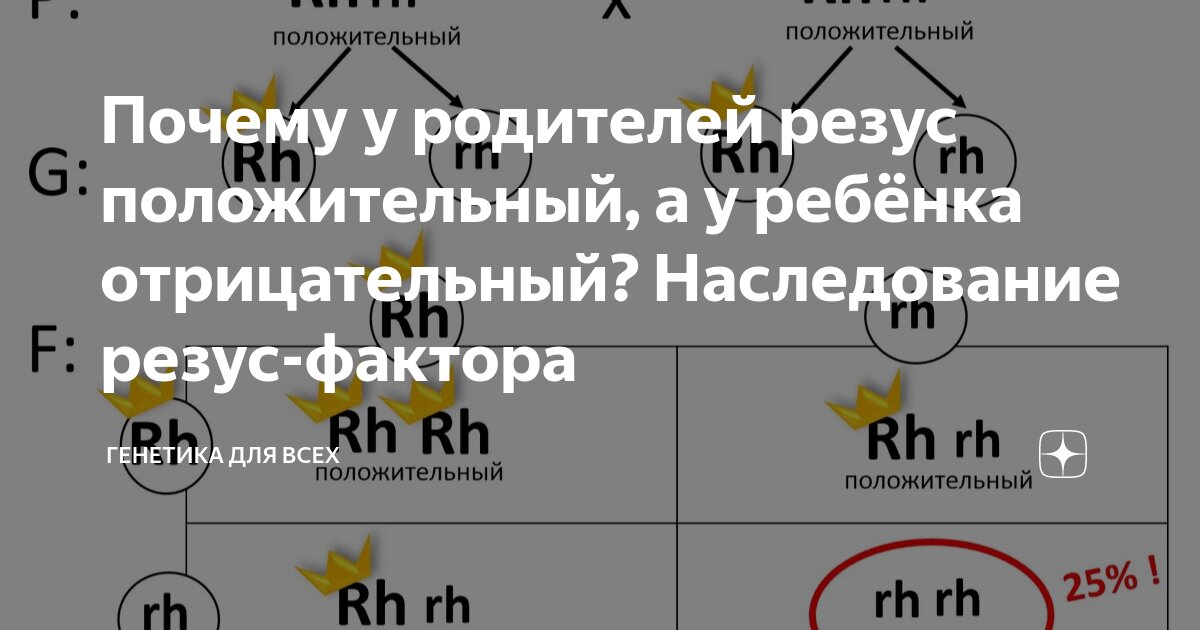 Какую группу крови и резус-фактор унаследует ваш ребенок