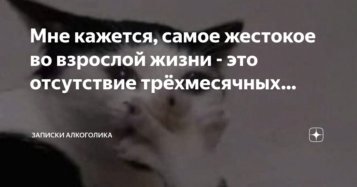 Записки алкоголички дзен. Записки алкоголички дзен. Записки алкоголички дзен. Записки алкоголички дзен. Записки алкоголички дзен.