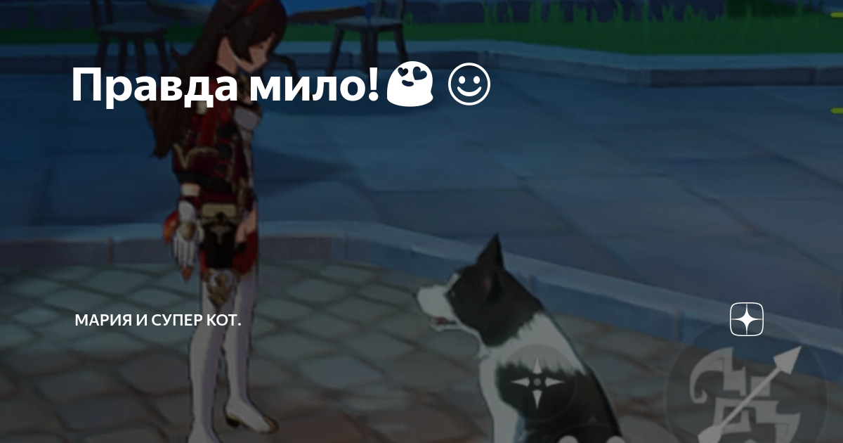 Супер кот сидит. Супер кот дзен. Говорящий котенок аби. Эдриан кот нуар референс. Питерские коты картинки с днем рождения.