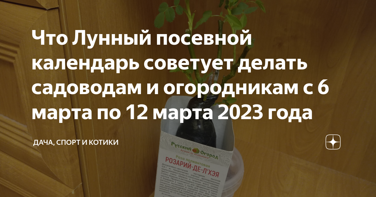 Календарь огородника на март 2023