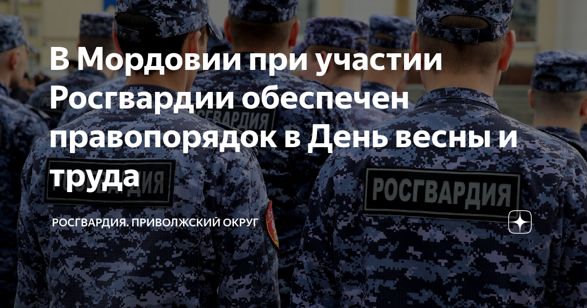 В Мордовии при участии Росгвардии обеспечен правопорядок в День весны и ...