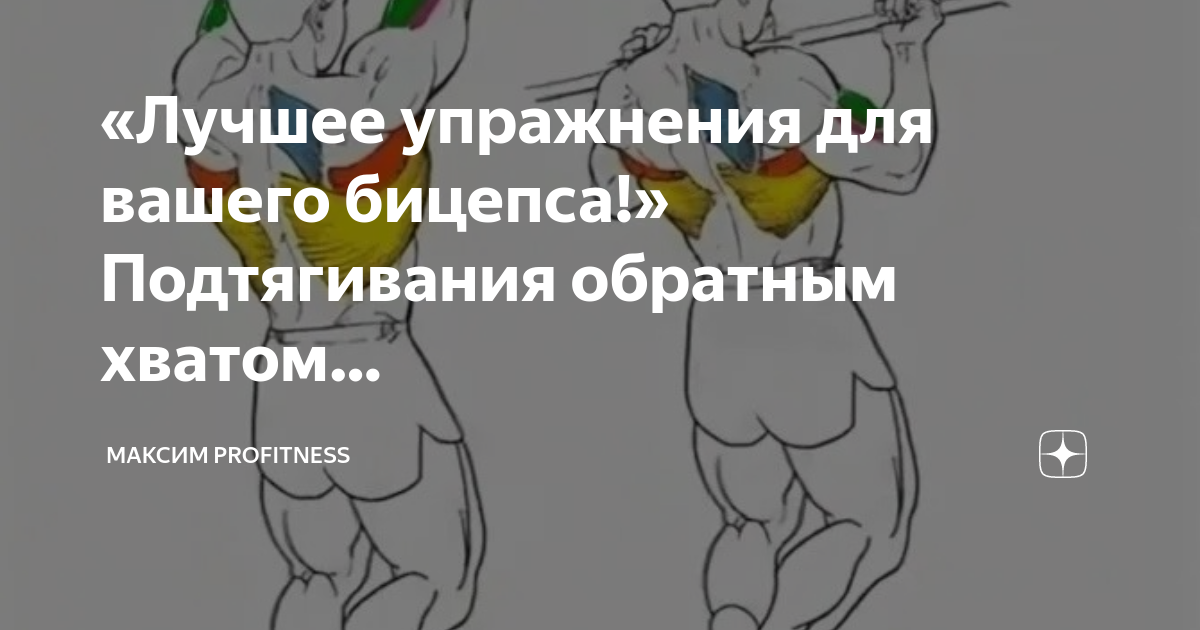 «Лучшее упражнения для вашего бицепса!» Подтягивания обратным хватом ...