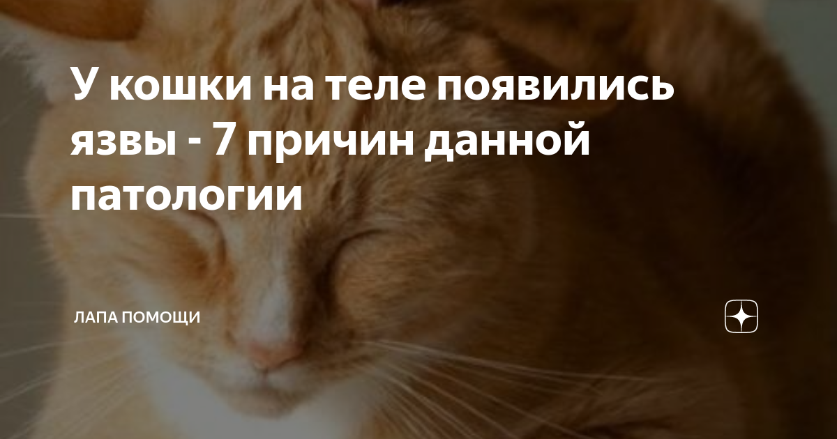 Аллергическая реакция