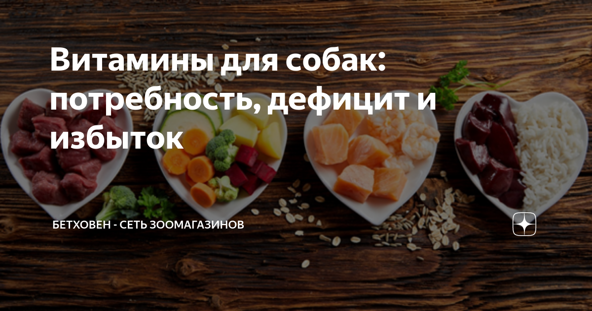 Витамины для собак: потребность, дефицит и избыток | Бетховен - сеть ...