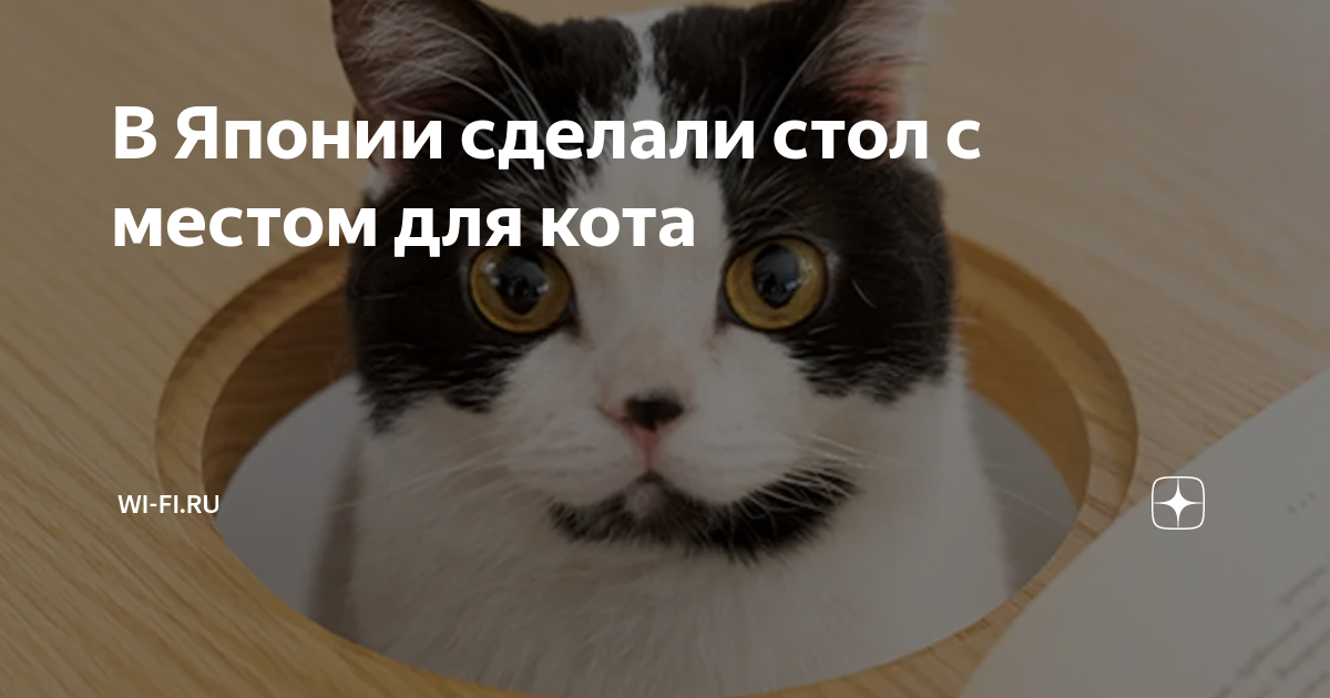 Стол для кота япония