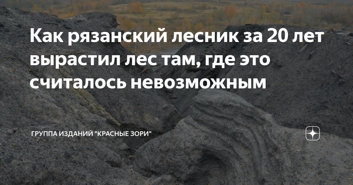 Тайга хвойный бор непроходимая. Где то там за лесом. Лес на холме. Где то там за лесом. Где то там за лесом.