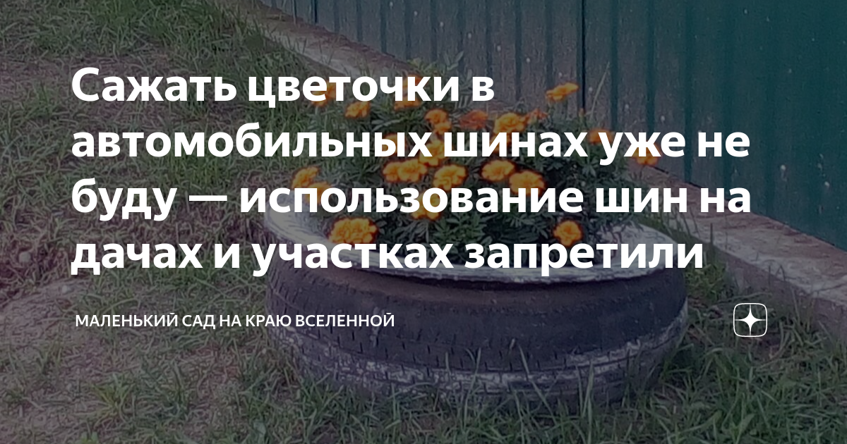 Сажать цветочки в автомобильных шинах уже не буду — использование шин на  дачах и участках запретили | Маленький сад на краю Вселенной | Дзен