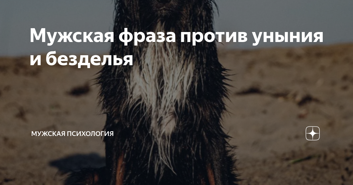 Уныние грех. День запрета на уныние картинки. Святые отцы об отчаянии. Уныние грех. Стяжи дух мирен и тысячи вокруг тебя спасутся.