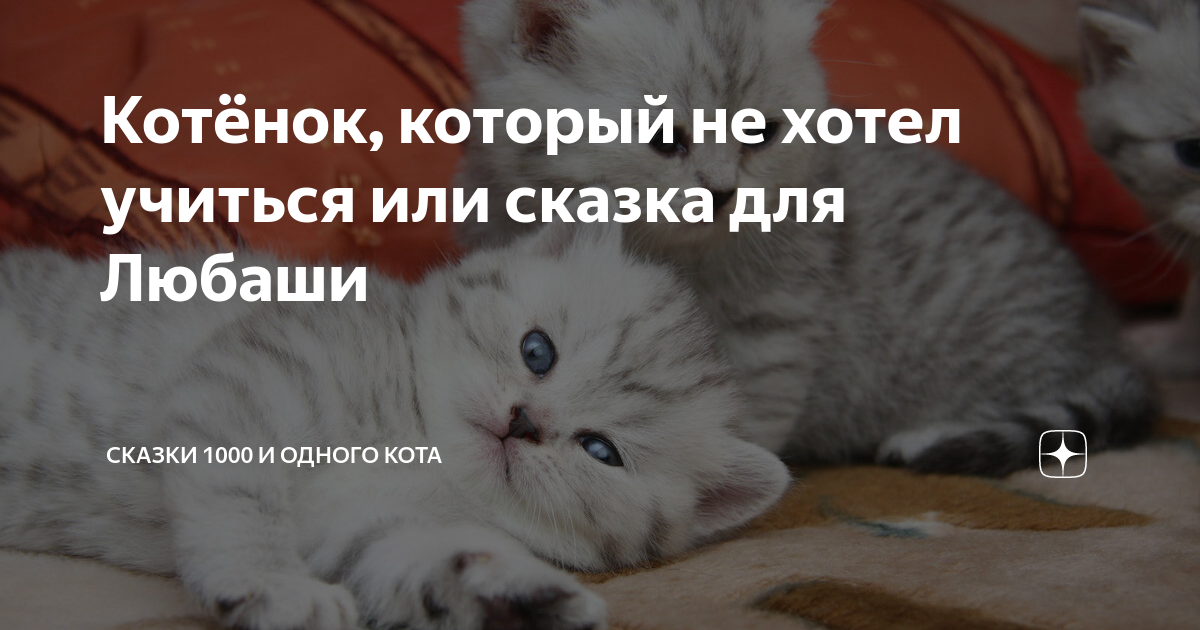 Котенок не выходит из под дивана