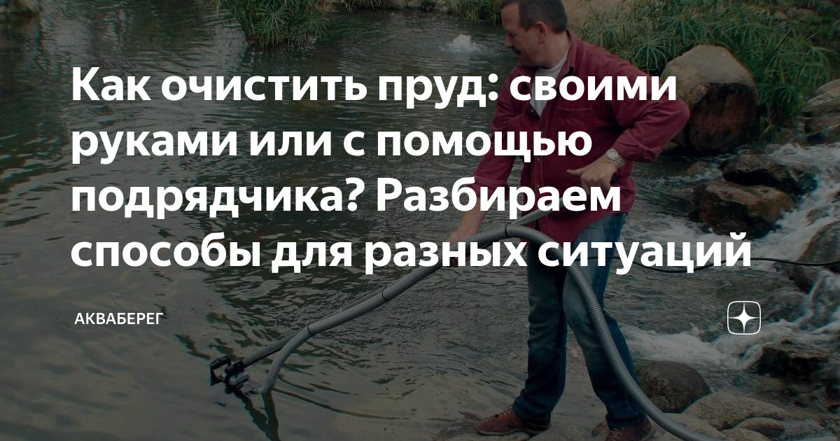 как очистить природный водоем от водорослей | Дзен