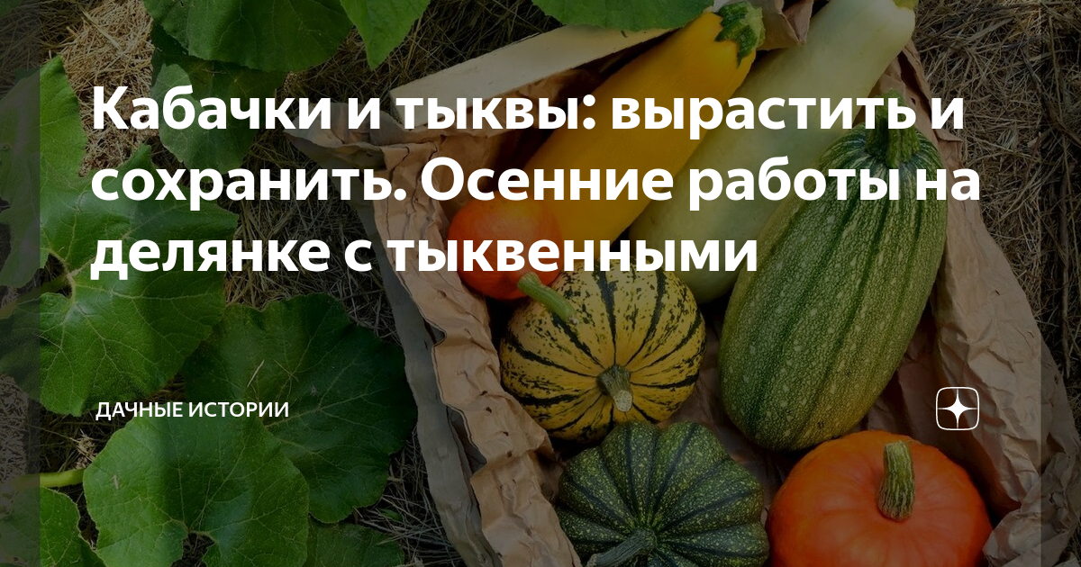 Осенние поделки из тыквы: идеи для выставки в садик и школу