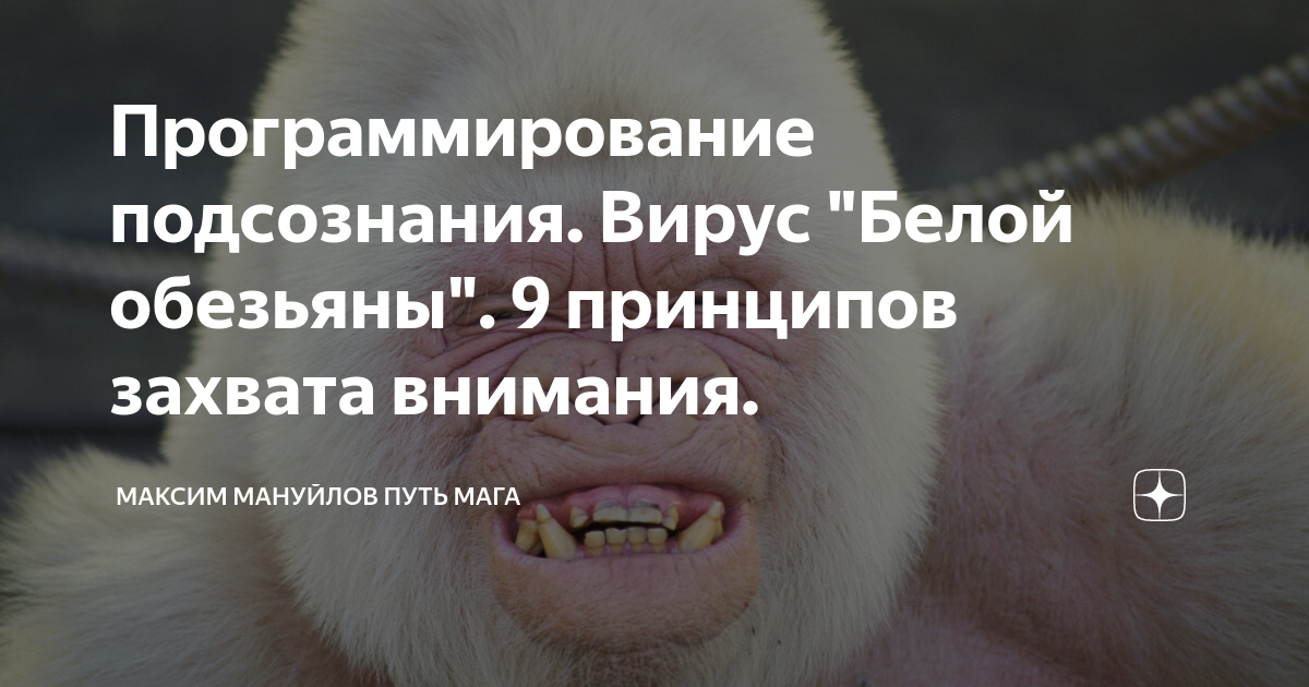 захват внимания. захват внимания. захват внимания. захват внимания андрагога. внимание захват эффектов.