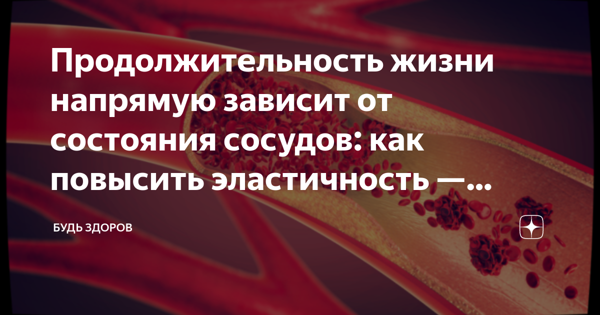 Какие продукты употреблять для повышения эластичности сосудов?