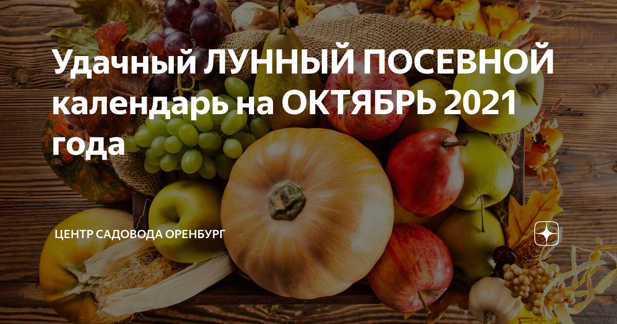 Удачный ЛУННЫЙ ПОСЕВНОЙ КАЛЕНДАРЬ на МАЙ 2024 года БАУЦЕНТР - Поможем представит
