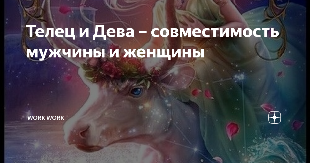 Совместимость Дева и Дева