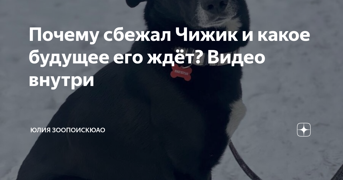 Почему электроник сбежал от профессора громова ответ. Чижиков рыжиков из приключения электроника фандера. Чижиков из электроника сейчас фото. Почему электроник сбежал от профессора. План приключения электроника 4 класс.