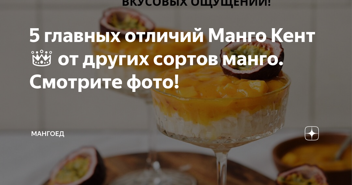 Манго сорт кент фото