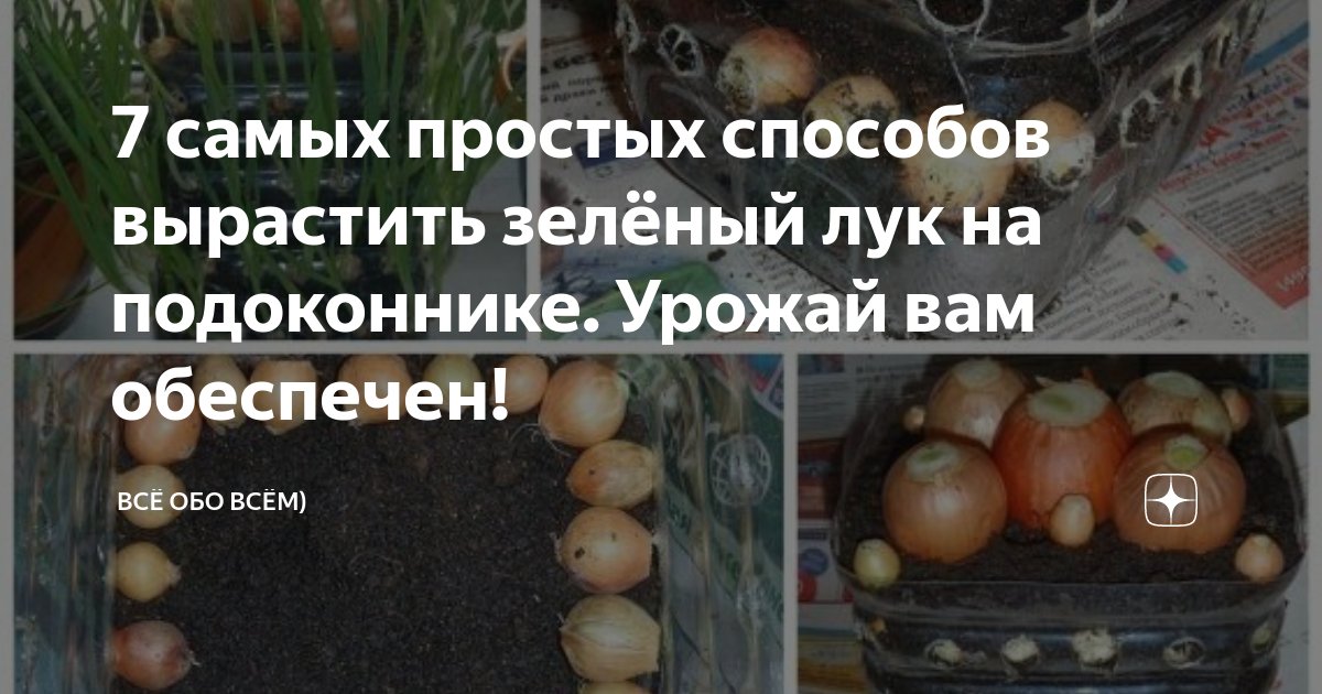 Южное окно