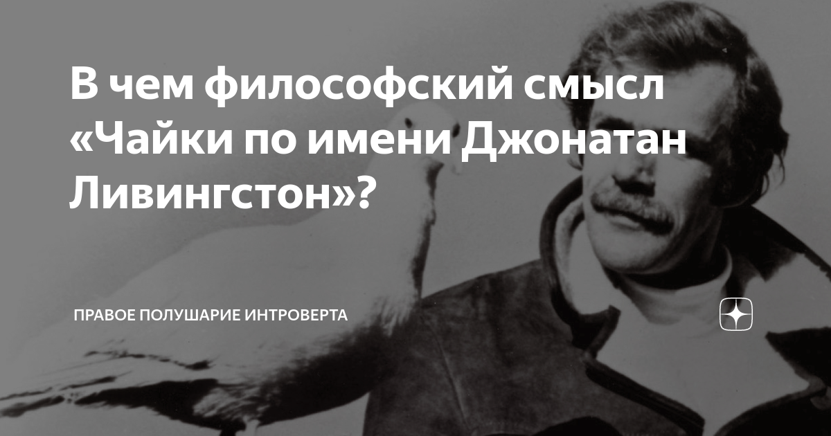 В чем философский смысл «Чайки по имени Джонатан Ливингстон»? | Правое ...