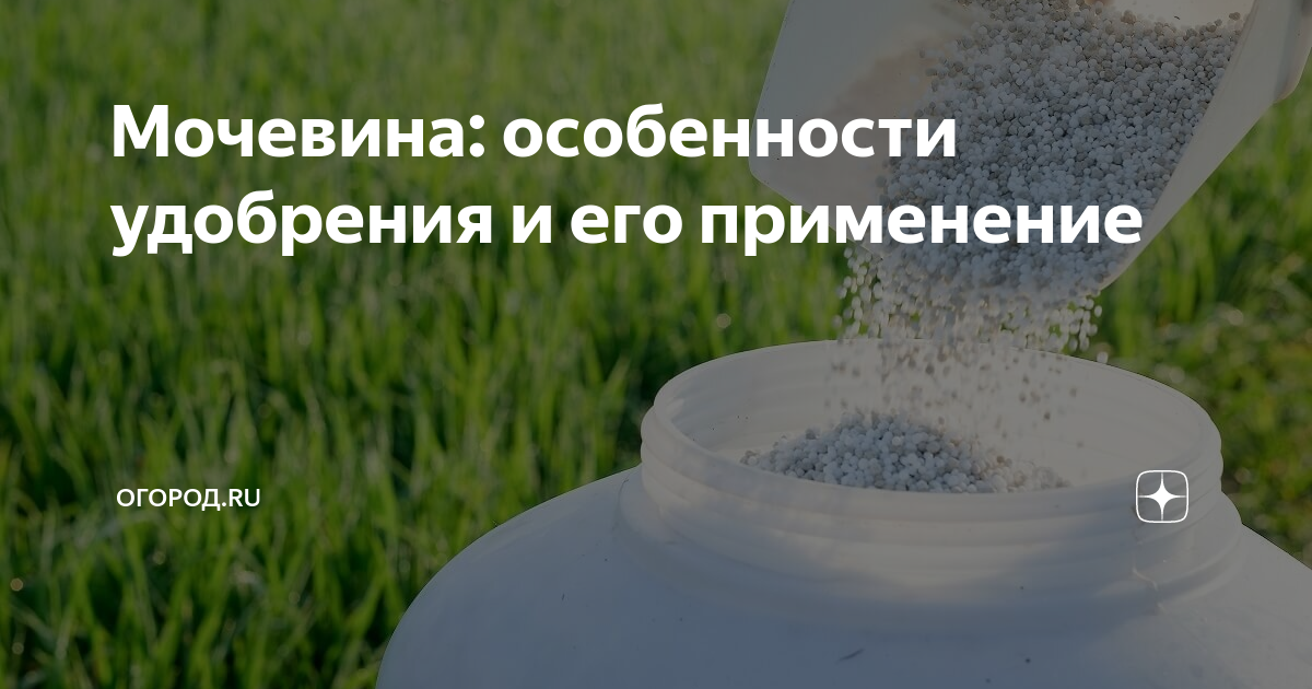Мочевина: особенности удобрения и его применение | огород.ru | Дзен