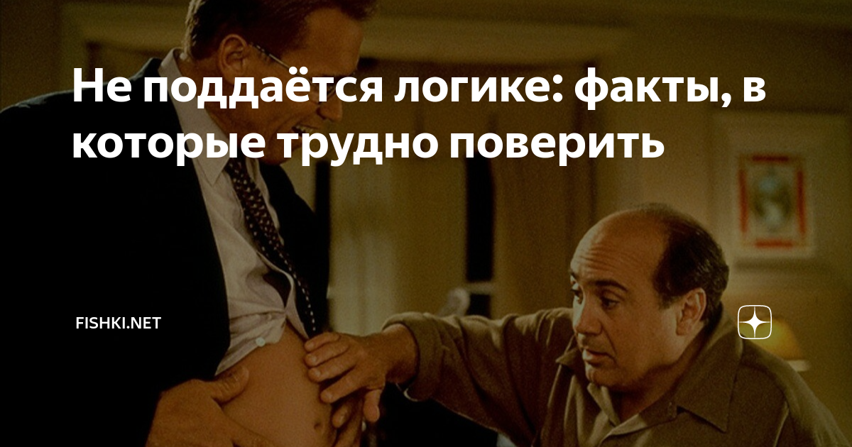 Логика не поддается. Логика не поддается