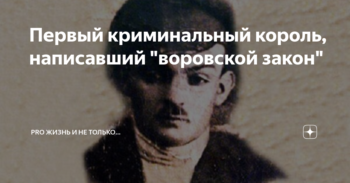 Кто написал закон
