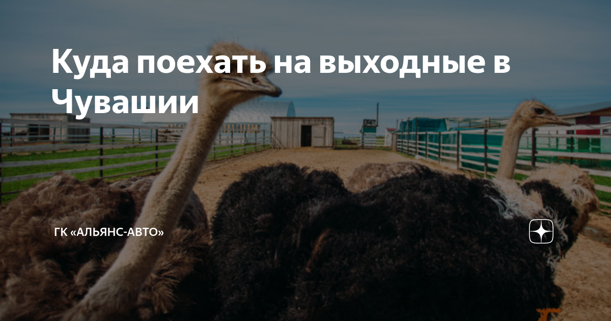 Гк альянс авто