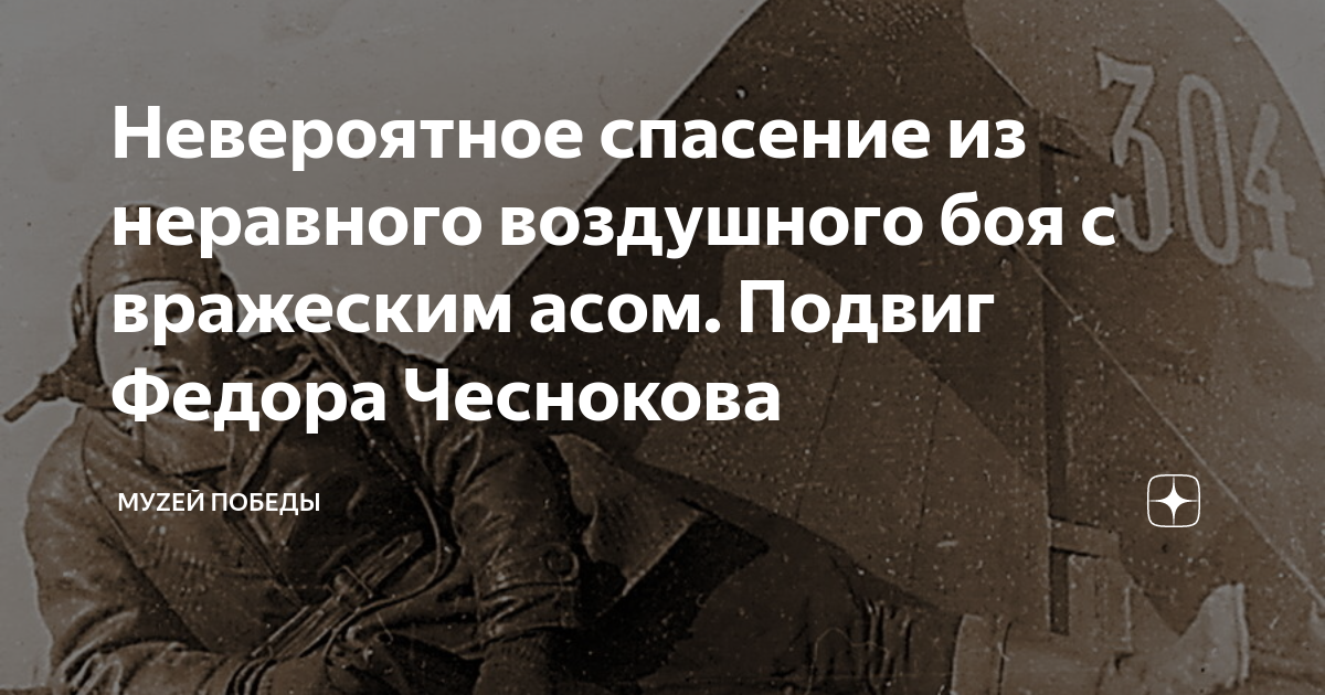 Спасем животных. Спасатели животных. Невероятное спасение. Невероятное спасение. Спасение животных людьми.