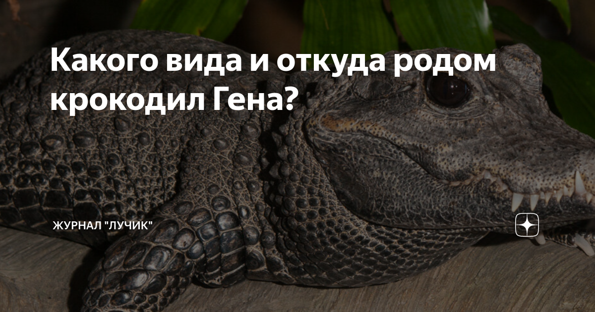 Что же такое компьютер и откуда он собственно взялся и когда это произошло