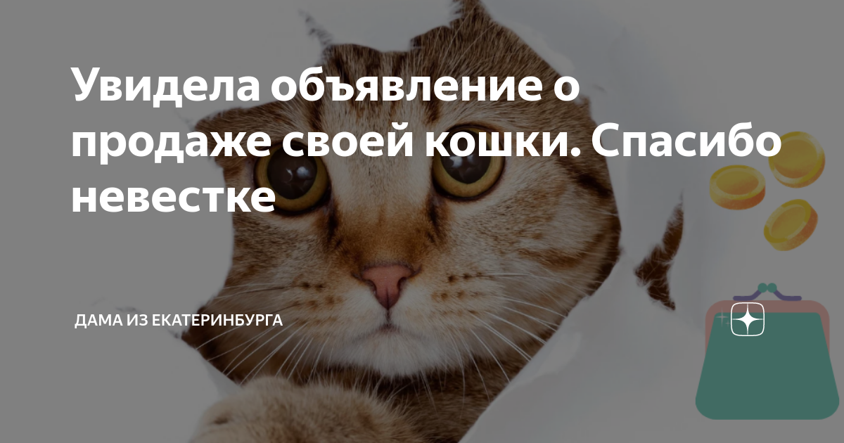 Объявление потерялась кошка образец