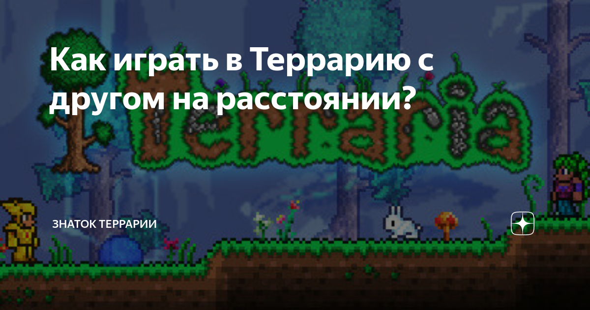 как играть в террарию по сети на телефоне на расстоянии